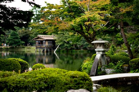 Kenroku-en Garden: A Symphony of Nature's Splendor in Kanazawa!