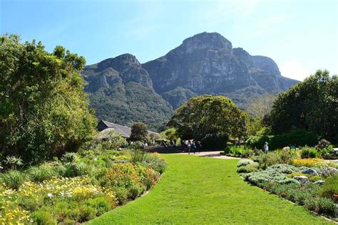 สวนพฤกษศาสตร์ Kirstenbosch: โอเอซิสสีเขียวที่งดงามของความหลากหลายทางชีวภาพ!