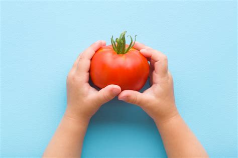 離乳食 トマトジュース：赤ちゃんの味覚冒険の始まり